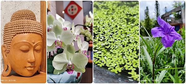 [ 開箱 - 小米手機系列 ] XIAOMI 小米12X 平凡、就此不凡