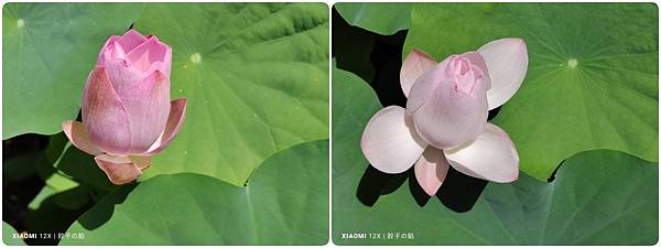 [ 開箱 - 小米手機系列 ] XIAOMI 小米12X 平凡、就此不凡