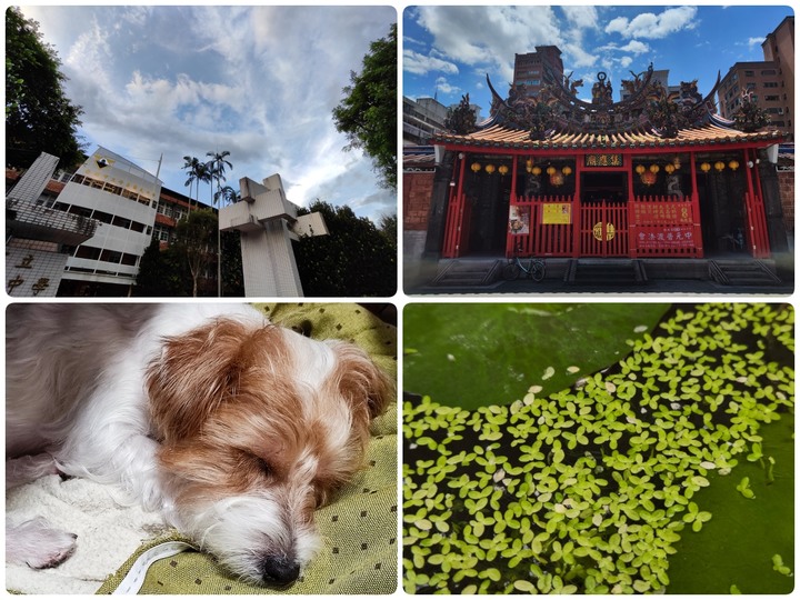 [ 開箱 - POCO 系列 ] POCO F4 GT 電競手機 制霸奇鍵