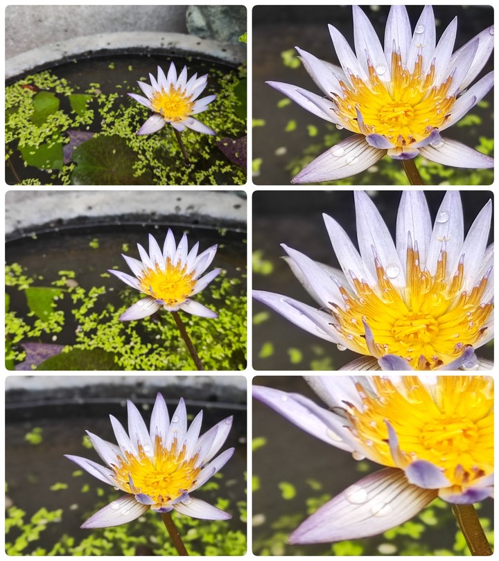 [ 開箱 - POCO 系列 ] POCO F4 GT 電競手機 制霸奇鍵