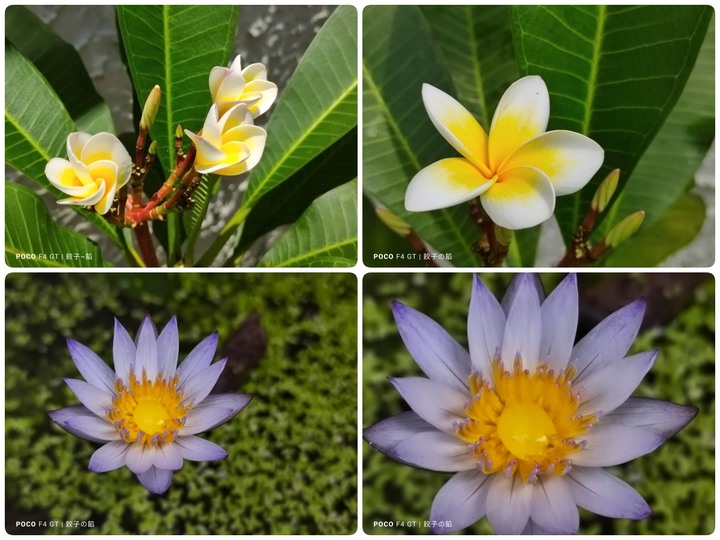 [ 開箱 - POCO 系列 ] POCO F4 GT 電競手機 制霸奇鍵